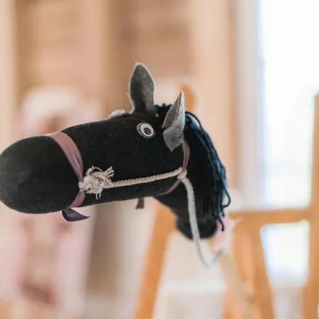 Vakantiehuis Hof Koehne - Feldscheune Rechts *