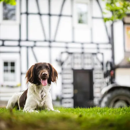 Hof Koehne - Feldscheune Rechts שמאלנברג