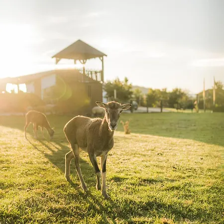Hof Koehne - Feldscheune Rechts *