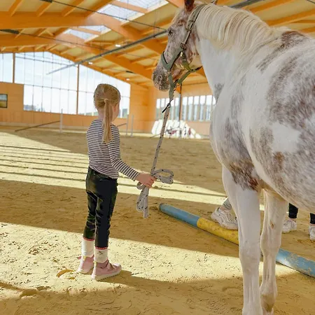 Vakantiehuis Hof Koehne - Feldscheune Rechts Schmallenberg