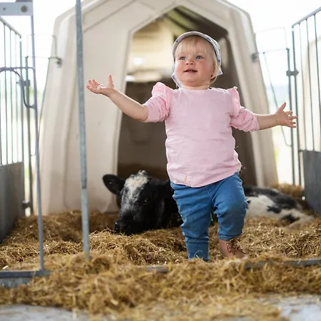 Hof Koehne - Feldscheune Rechts *