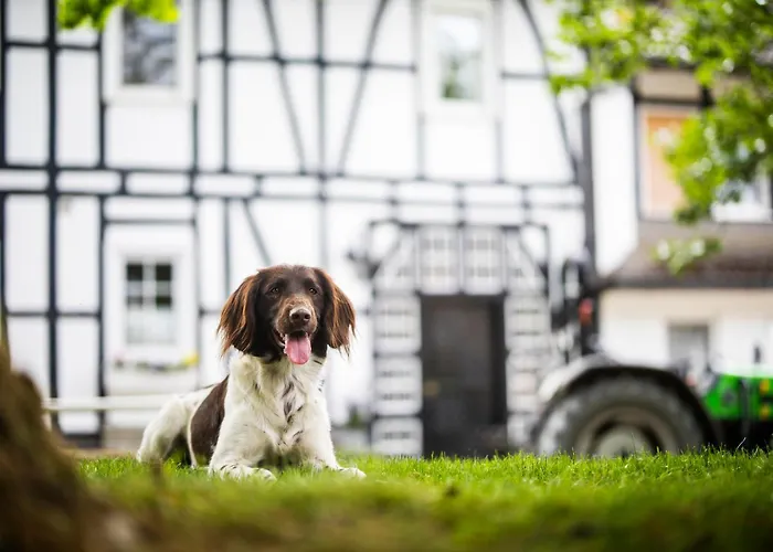 Hof Koehne - Feldscheune Rechts Schmallenberg