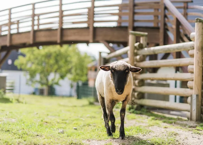 Hof Koehne - Feldscheune Rechts *
