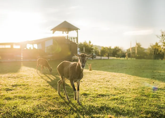 Hof Koehne - Feldscheune Rechts *
